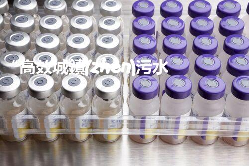 “高效城鎮(zhèn)污水處理流程，守護碧水藍天新篇章”